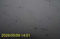 Img20260509_140102.jpg