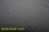Img20260509_143102.jpg