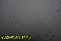 Img20260509_144602.jpg