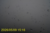 Img20260509_151602.jpg
