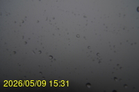 Img20260509_153102.jpg