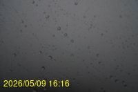 Img20260509_161602.jpg