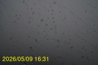 Img20260509_163103.jpg