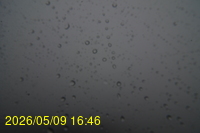 Img20260509_164603.jpg
