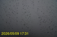 Img20260509_173103.jpg
