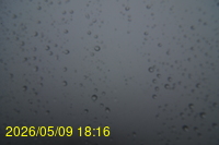 Img20260509_181603.jpg