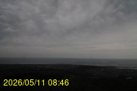 Img20260511_084608.jpg