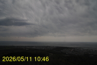 Img20260511_104608.jpg