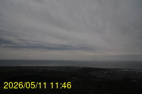 Img20260511_114608.jpg
