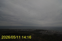 Img20260511_141609.jpg