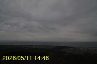 Img20260511_144609.jpg