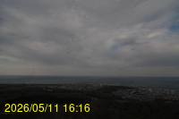Img20260511_161609.jpg