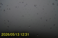 Img20260513_123115.jpg