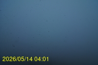 Img20260514_040117.jpg
