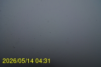 Img20260514_043117.jpg