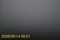 Img20260514_060117.jpg