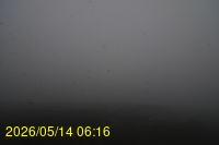 Img20260514_061617.jpg