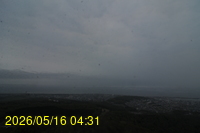 Img20260516_043124.jpg