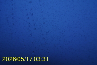 Img20260517_033127.jpg
