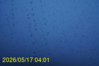 Img20260517_040127.jpg
