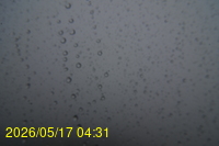 Img20260517_043127.jpg