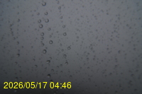 Img20260517_044627.jpg