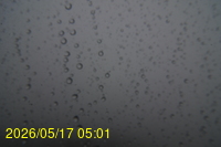 Img20260517_050127.jpg