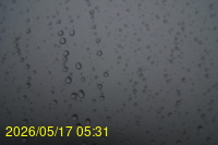 Img20260517_053127.jpg
