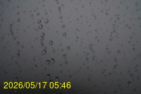 Img20260517_054627.jpg