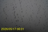 Img20260517_060127.jpg