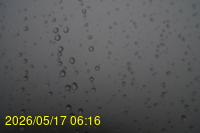 Img20260517_061627.jpg