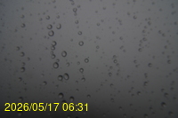 Img20260517_063127.jpg