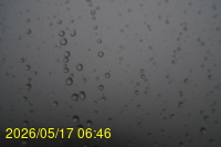 Img20260517_064627.jpg