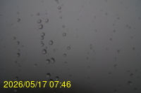 Img20260517_074627.jpg