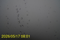 Img20260517_080127.jpg