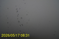 Img20260517_083128.jpg