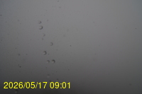 Img20260517_090128.jpg
