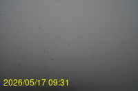 Img20260517_093128.jpg