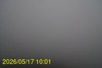 Img20260517_100128.jpg