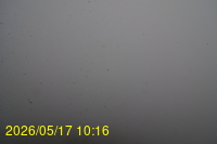 Img20260517_101628.jpg