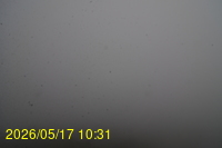 Img20260517_103128.jpg