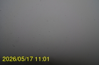 Img20260517_110128.jpg
