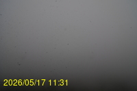 Img20260517_113128.jpg