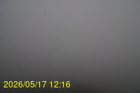 Img20260517_121628.jpg