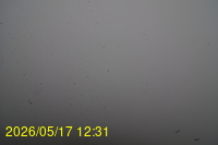 Img20260517_123128.jpg