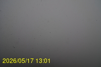 Img20260517_130128.jpg