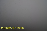 Img20260517_131628.jpg