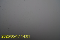 Img20260517_140128.jpg