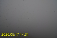 Img20260517_143128.jpg