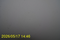Img20260517_144628.jpg